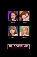 BLACKPINK: Light Up the Sky full movie (2020)